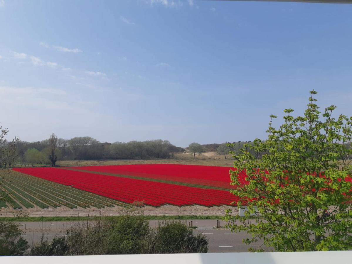 4T4 Apartment C Egmond aan den Hoef Dış mekan fotoğraf